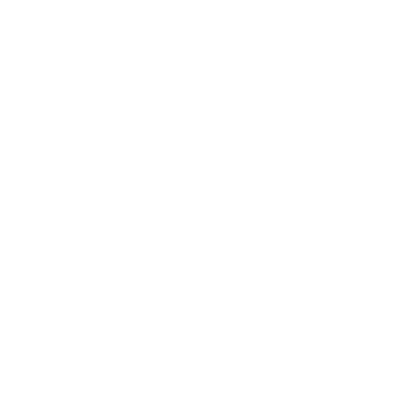 Airfreight Services